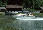 Speedboot auf der Donau : Speed